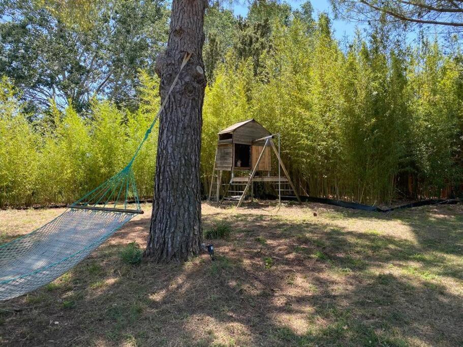 Вилла Petit Mas Calme Typique Du Sud ! Valergues Экстерьер фото